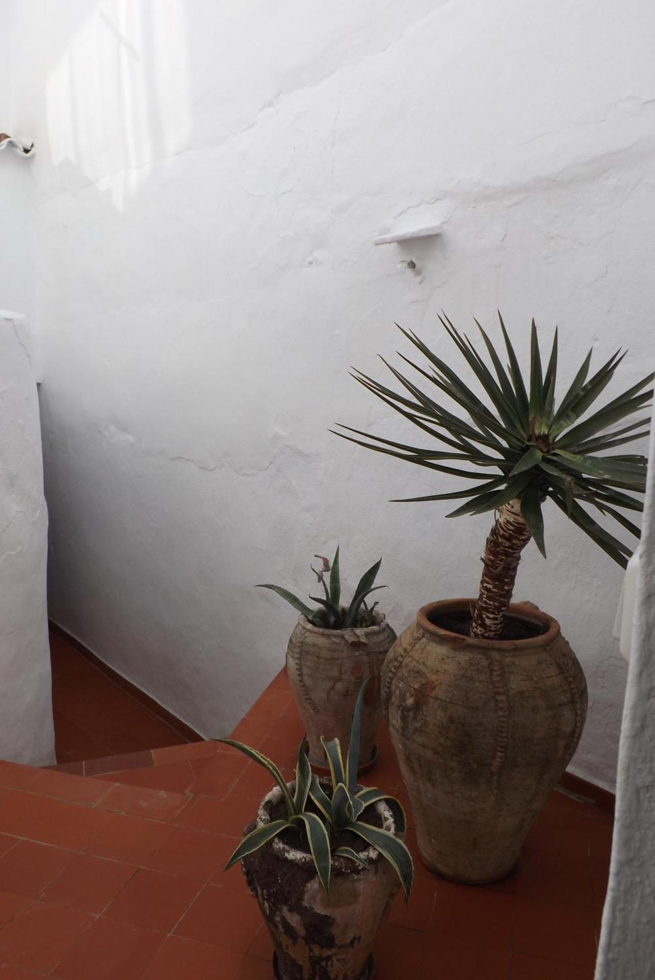 Casa Elvira Villa Competa Luaran gambar